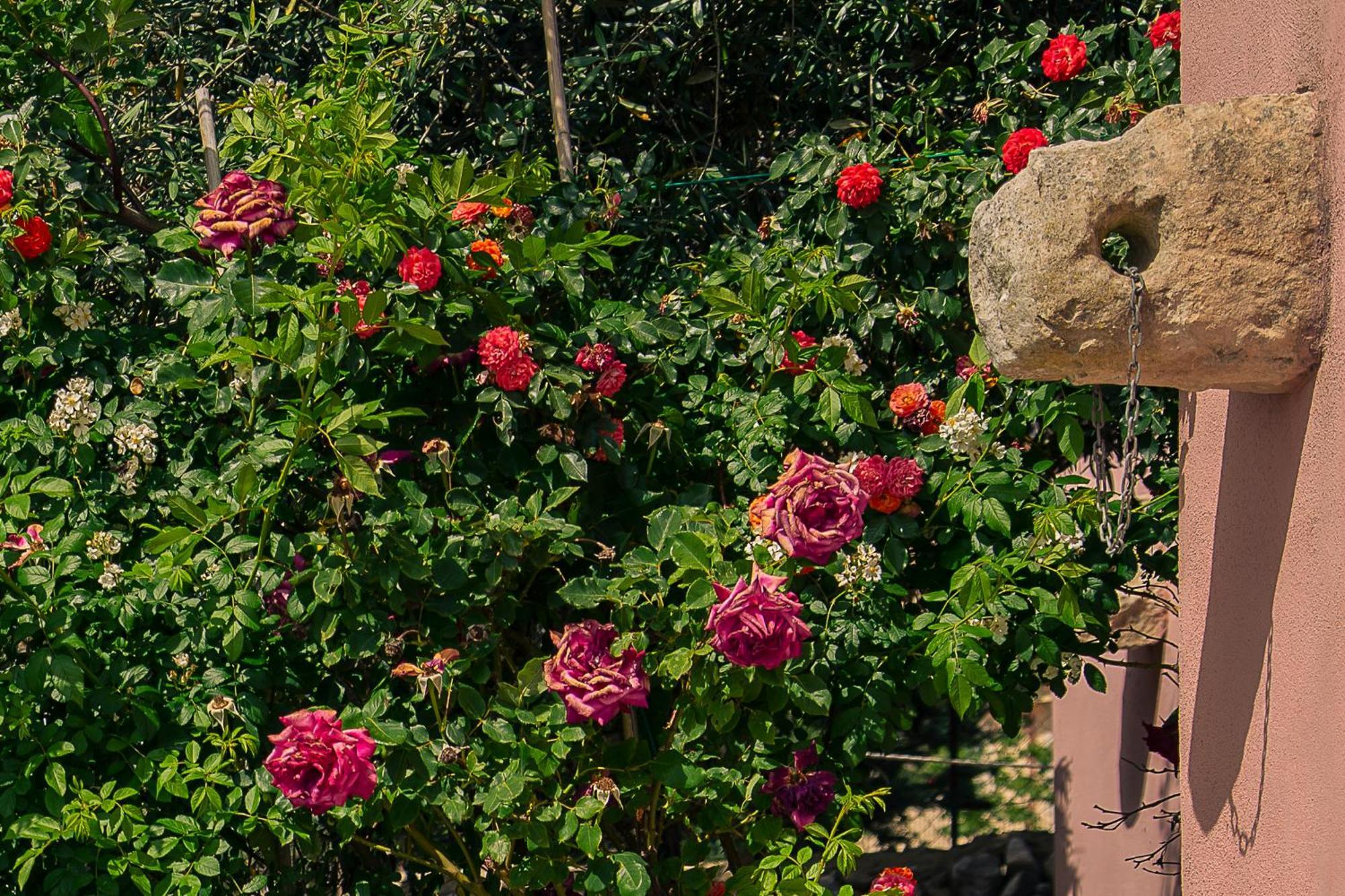 Villa Virginia Ραγκούσα Εξωτερικό φωτογραφία